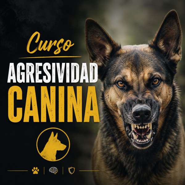 Agresividad canina