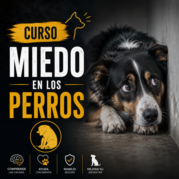 El miedo en los perros