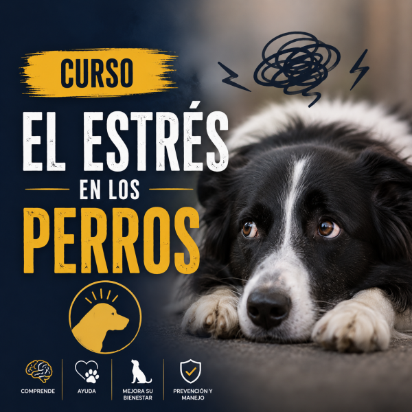 Estrés canino