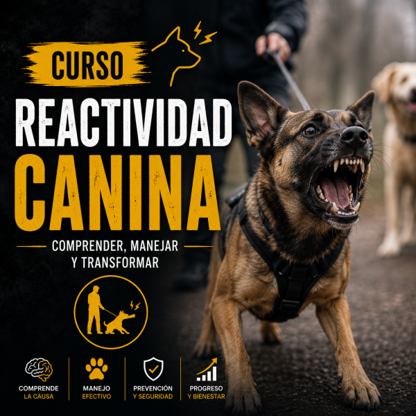 Reactividad Canina