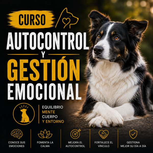 Autocontrol y gestión emocional