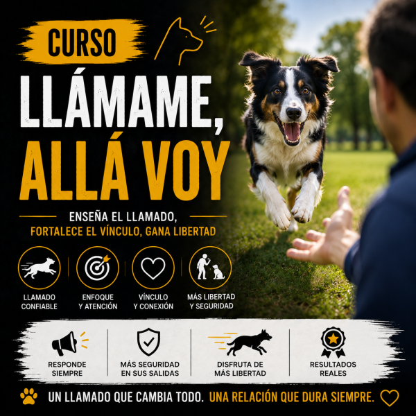 Curso Llámame Allá voy