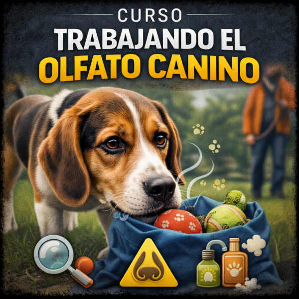 Trabajando el olfato canino