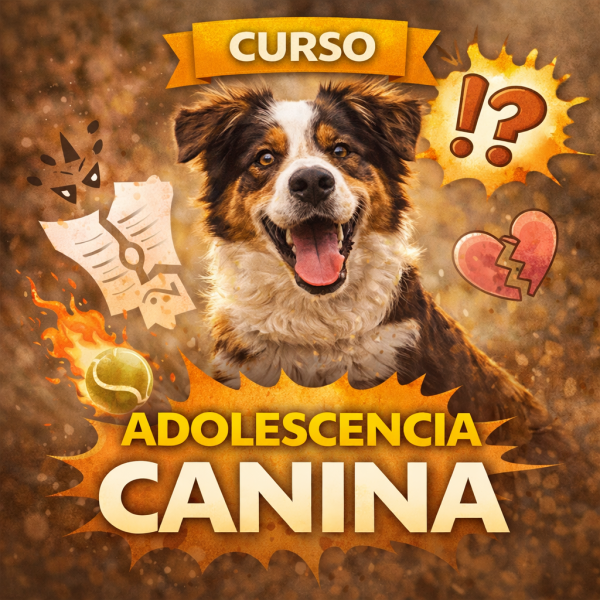 Taller Adolescencia Canina
