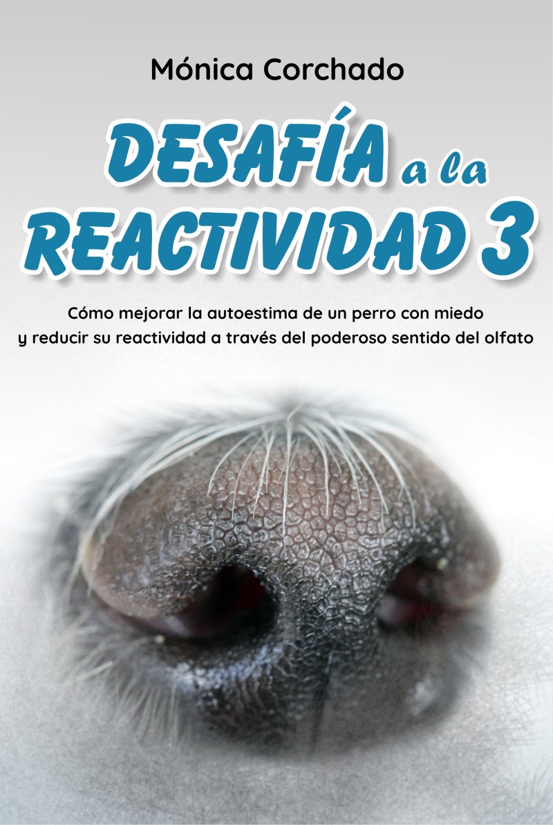 Desafía a la Reactividad 3